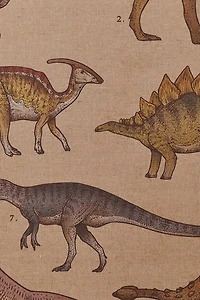 Buy EBX Dinosaurs Wall Art Banner Online at Earthbound Trading