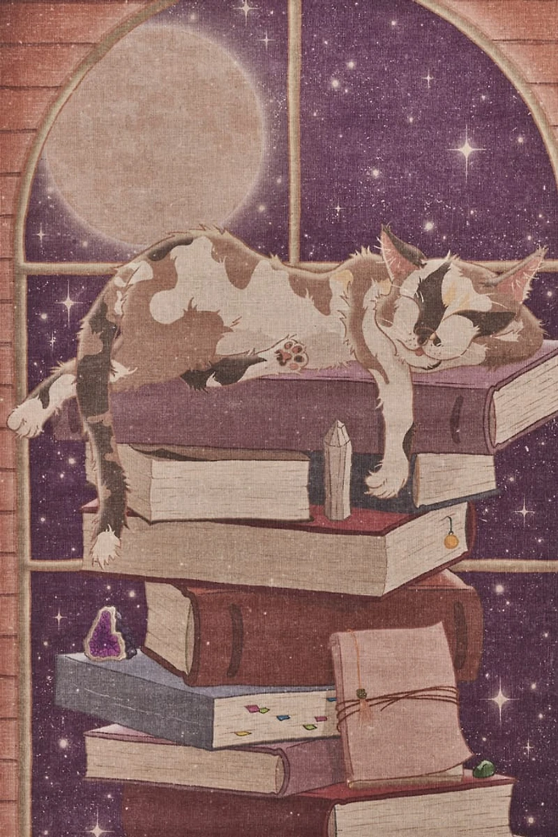 Buy EBX Cat Book Tower Wall Art Banner Online at Earthbound Trading