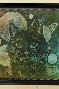 Buy Celestial Cat Framed Wall Art Online at Earthbound Trading
