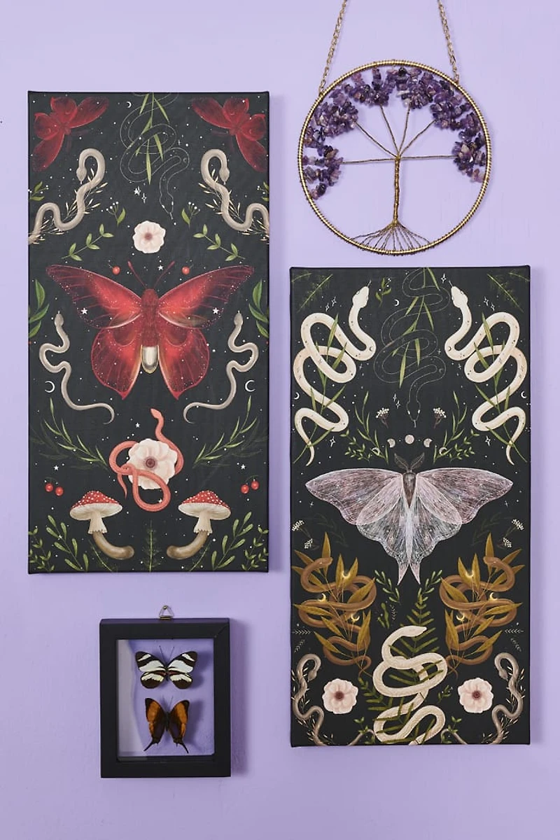 Buy Crimson Moth Canvas Wall Art Online at Earthbound Trading
