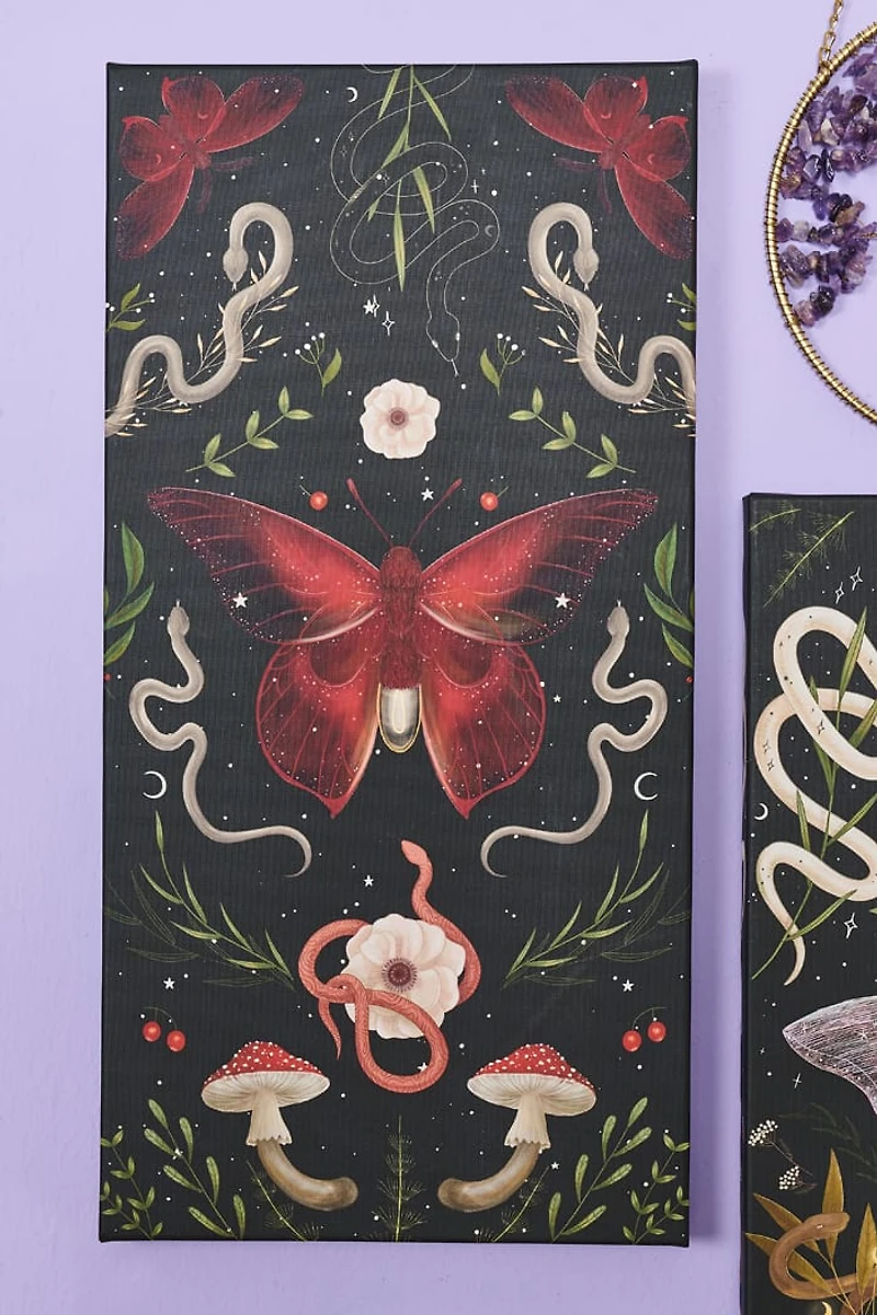 Buy Crimson Moth Canvas Wall Art Online at Earthbound Trading