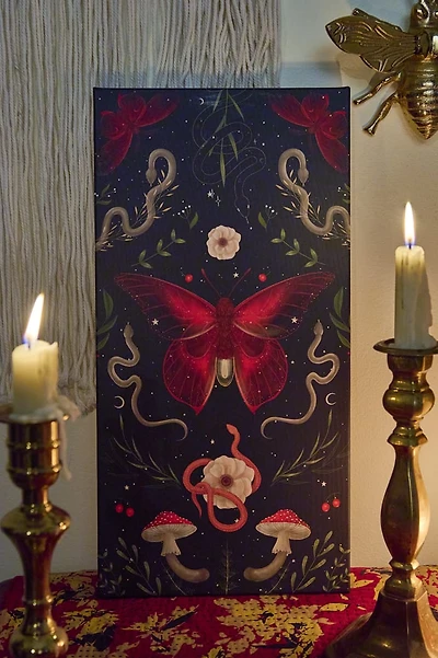 Crimson Moth Canvas Wall Art
