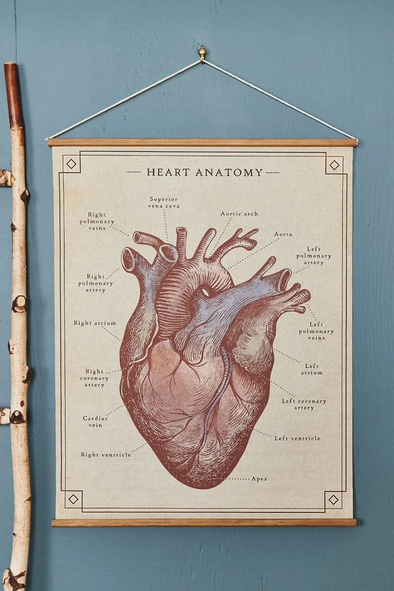 Anatomical Heart Wall Art Banner