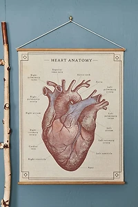 Anatomical Heart Wall Art Banner