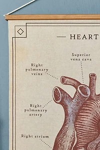 Anatomical Heart Wall Art Banner