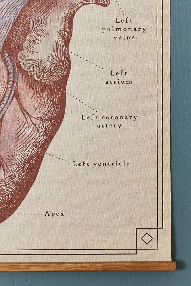 Anatomical Heart Wall Art Banner