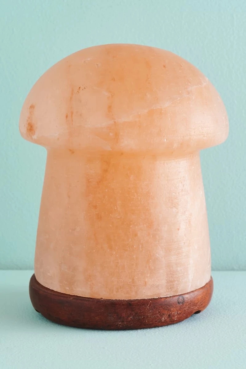 Buy Natural Mushroom Himalayan Salt Lamp Online at Earthbound Trading