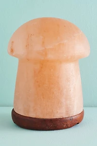 Buy Natural Mushroom Himalayan Salt Lamp Online at Earthbound Trading
