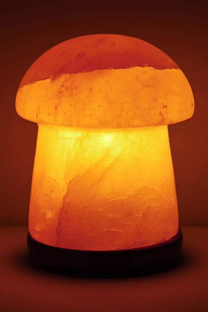 Buy Natural Mushroom Himalayan Salt Lamp Online at Earthbound Trading