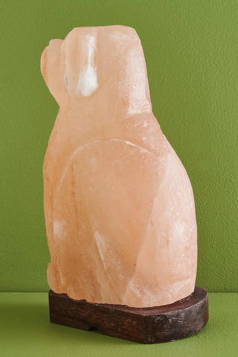 Buy Natural Dog Himalayan Salt Lamp Online at Earthbound Trading