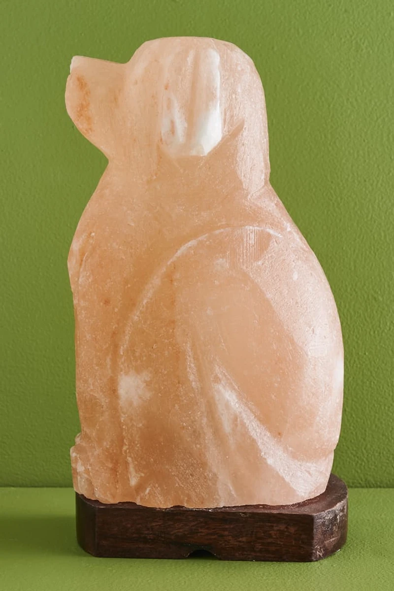 Buy Natural Dog Himalayan Salt Lamp Online at Earthbound Trading