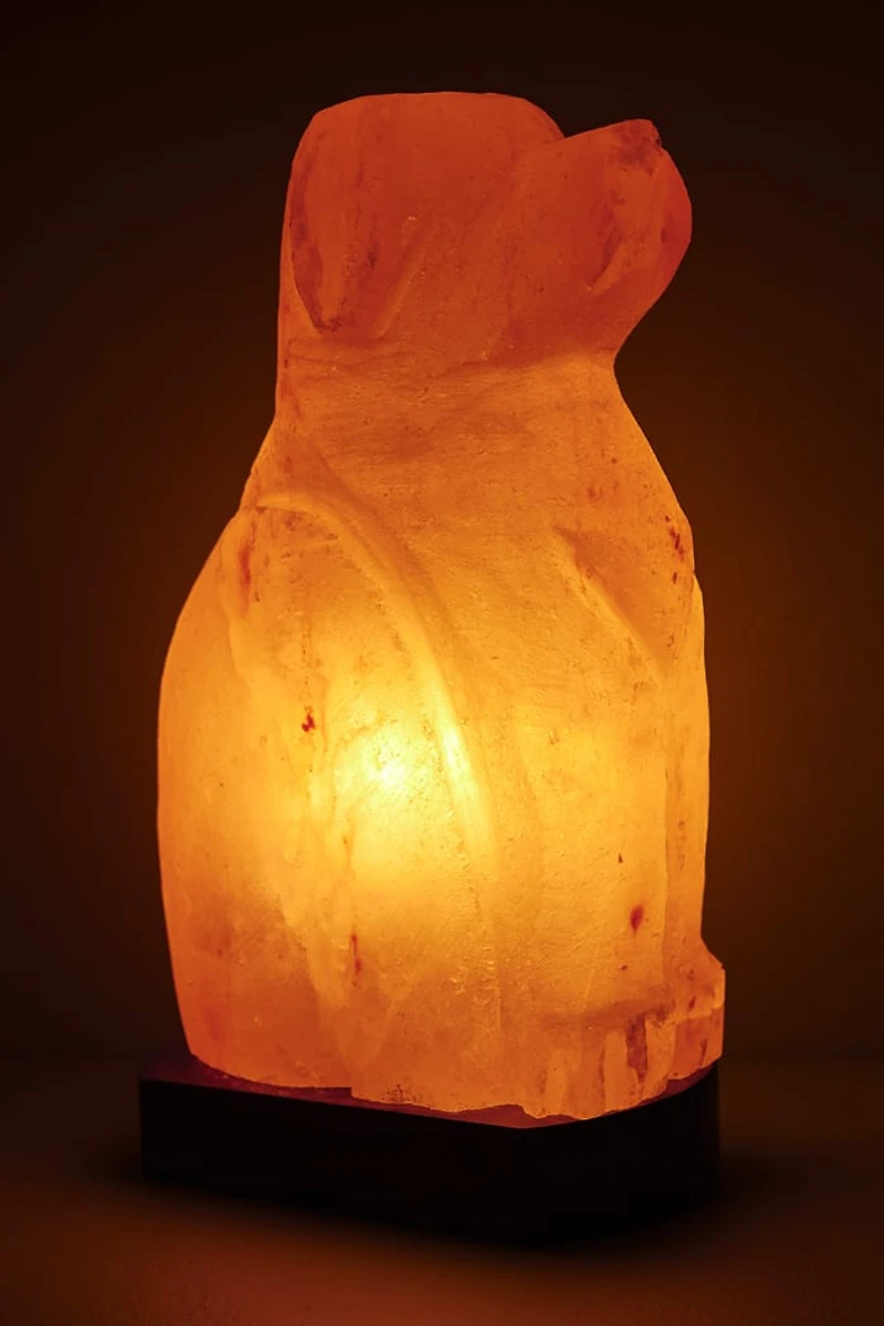 Buy Natural Dog Himalayan Salt Lamp Online at Earthbound Trading