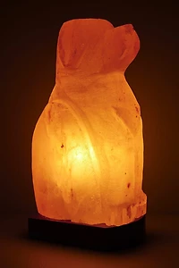 Buy Natural Dog Himalayan Salt Lamp Online at Earthbound Trading