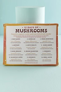 12 Days of Mushrooms Gift Set - Whimsical boho Decor & Gifts