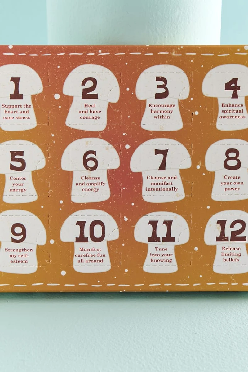 12 Days of Mushrooms Gift Set - Whimsical boho Decor & Gifts
