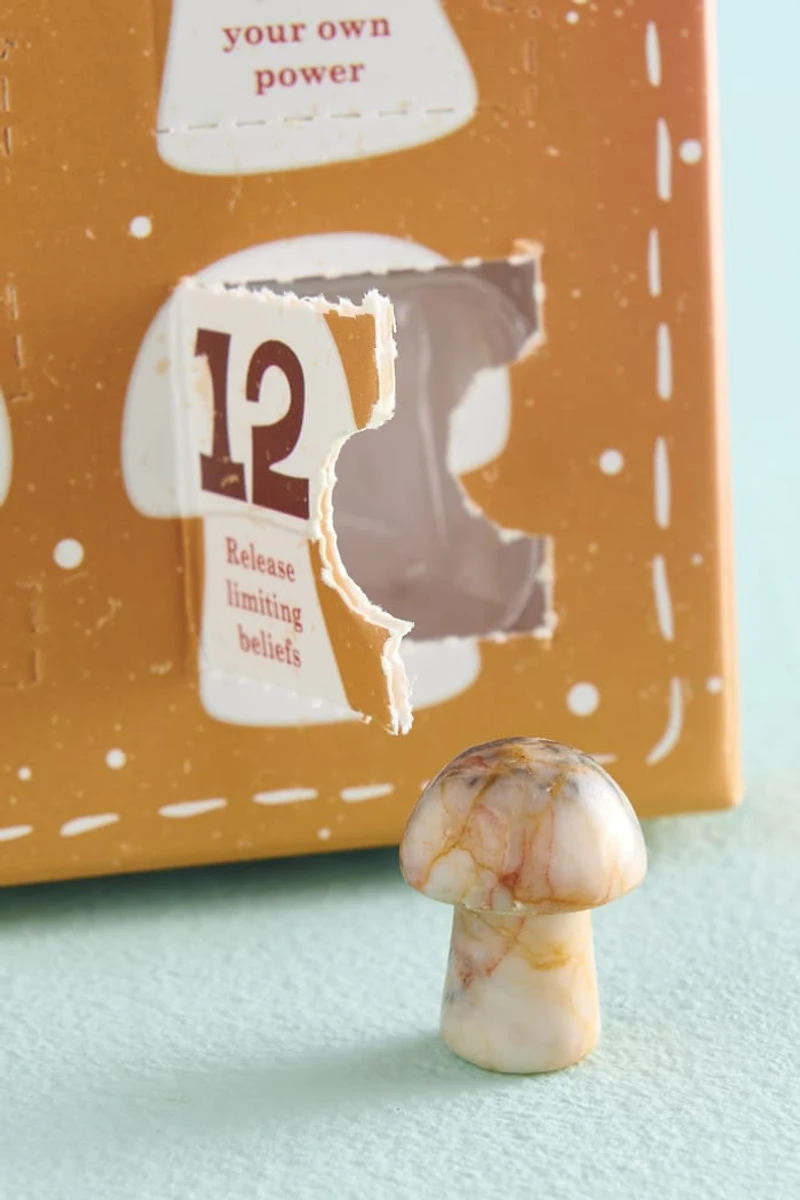 12 Days of Mushrooms Gift Set - Whimsical boho Decor & Gifts