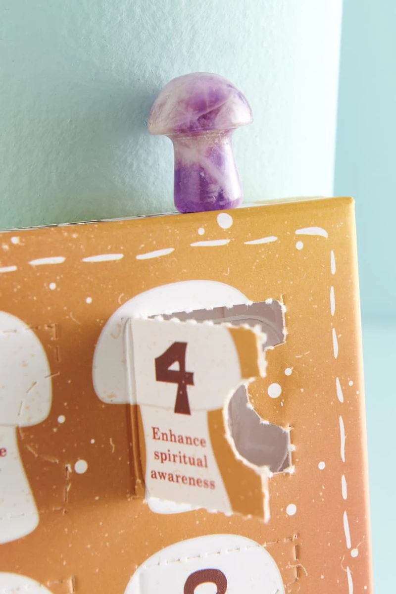 12 Days of Mushrooms Gift Set - Whimsical boho Decor & Gifts