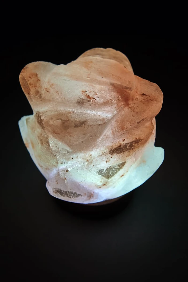 Buy Mini Natural Rose Himalayan Salt Lamp Online at Earthbound Trading