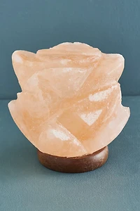 Buy Mini Natural Rose Himalayan Salt Lamp Online at Earthbound Trading