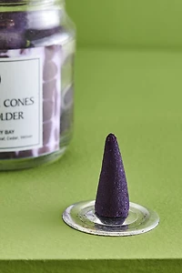 Buy Blackberry Bay 40 Incense Cones with Holder Online at Earthbound Trading