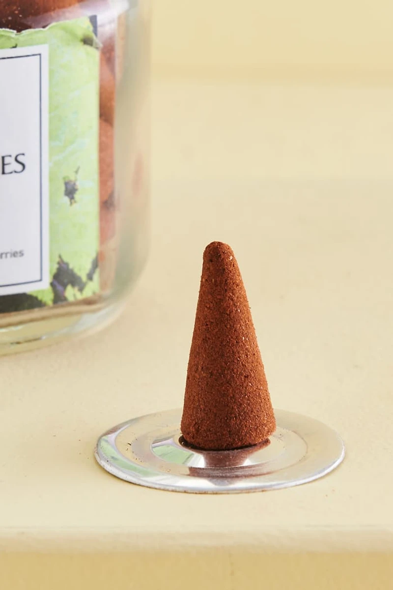 Buy Mango Coconut 40 Incense Cones with Holder Online at Earthbound Trading
