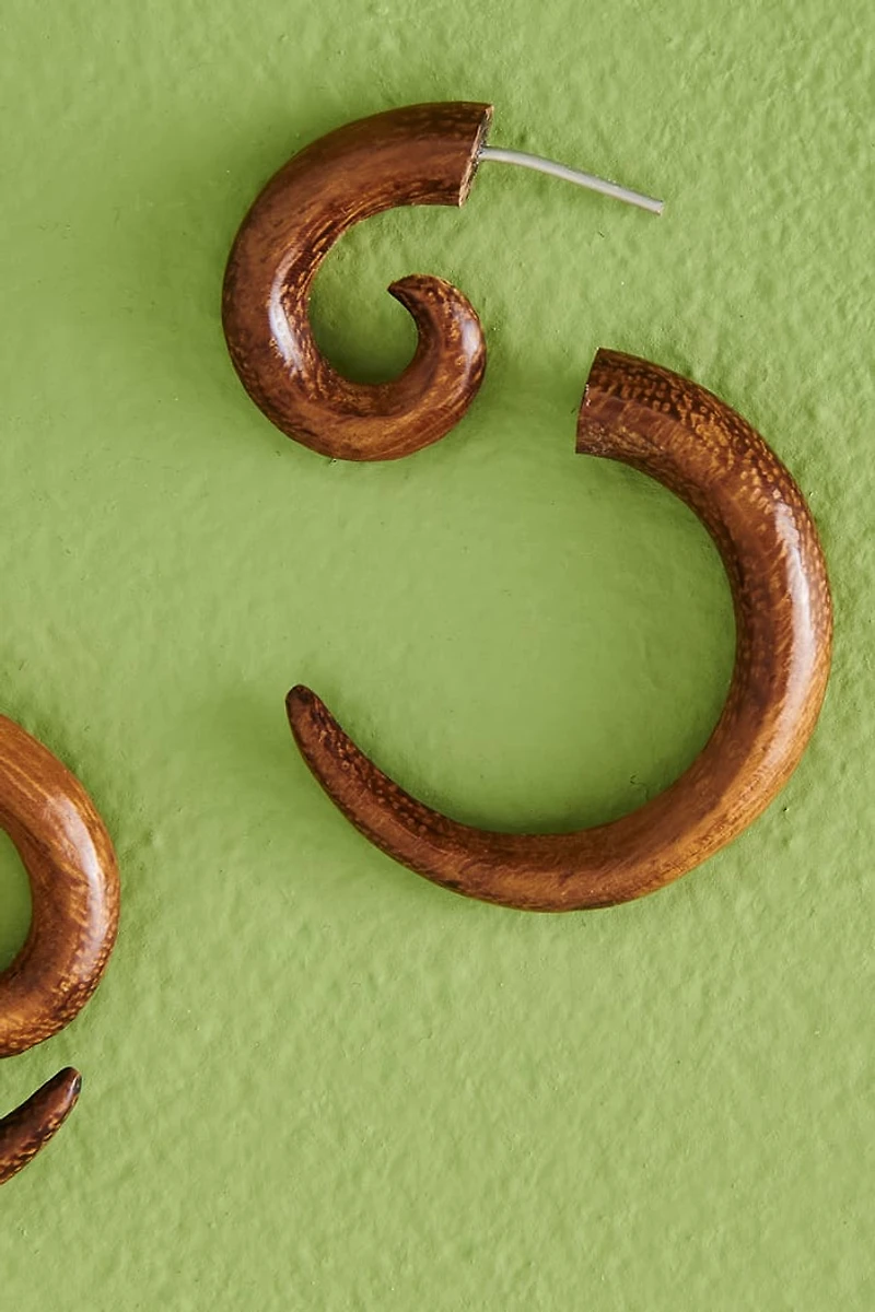 Buy Swirl Wood Faux Gauge Earrings Online at Earthbound Trading