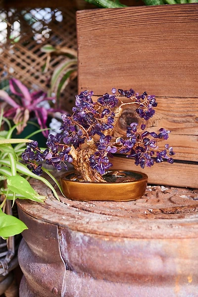 Buy Large Amethyst Gem Tree Online at Earthbound Trading