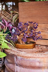 Buy Large Amethyst Gem Tree Online at Earthbound Trading