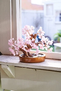 Buy Large Rose Quartz Gem Tree Online at Earthbound Trading