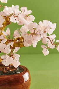 Buy Small Rose Quartz Gem Tree Online at Earthbound Trading