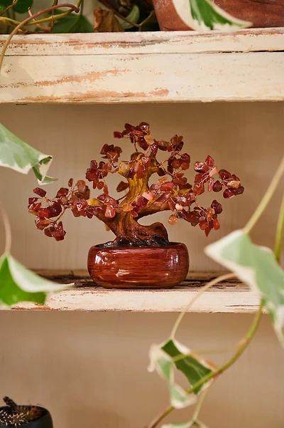 Buy Small Carnelian Gem Tree Online at Earthbound Trading