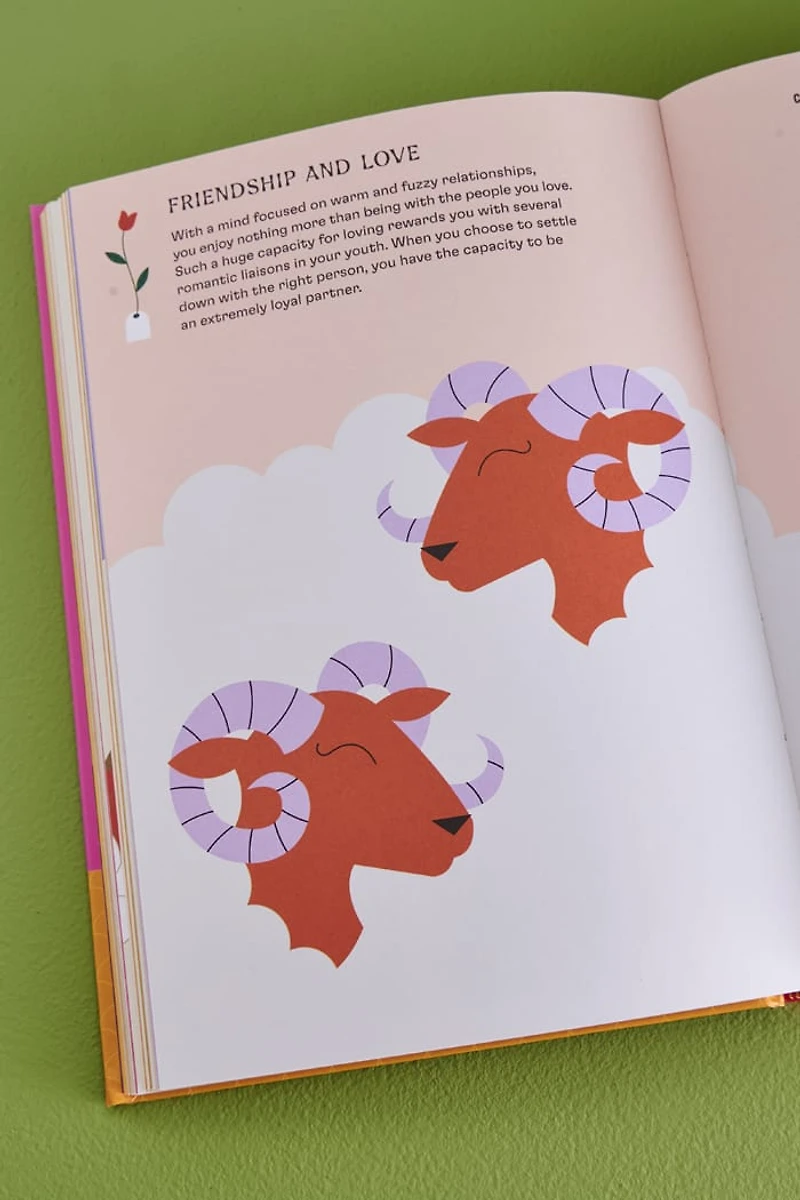 Buy Chinese Astrology: Decode the Zodiac to Live Your Best Life Online at Earthbound Trading