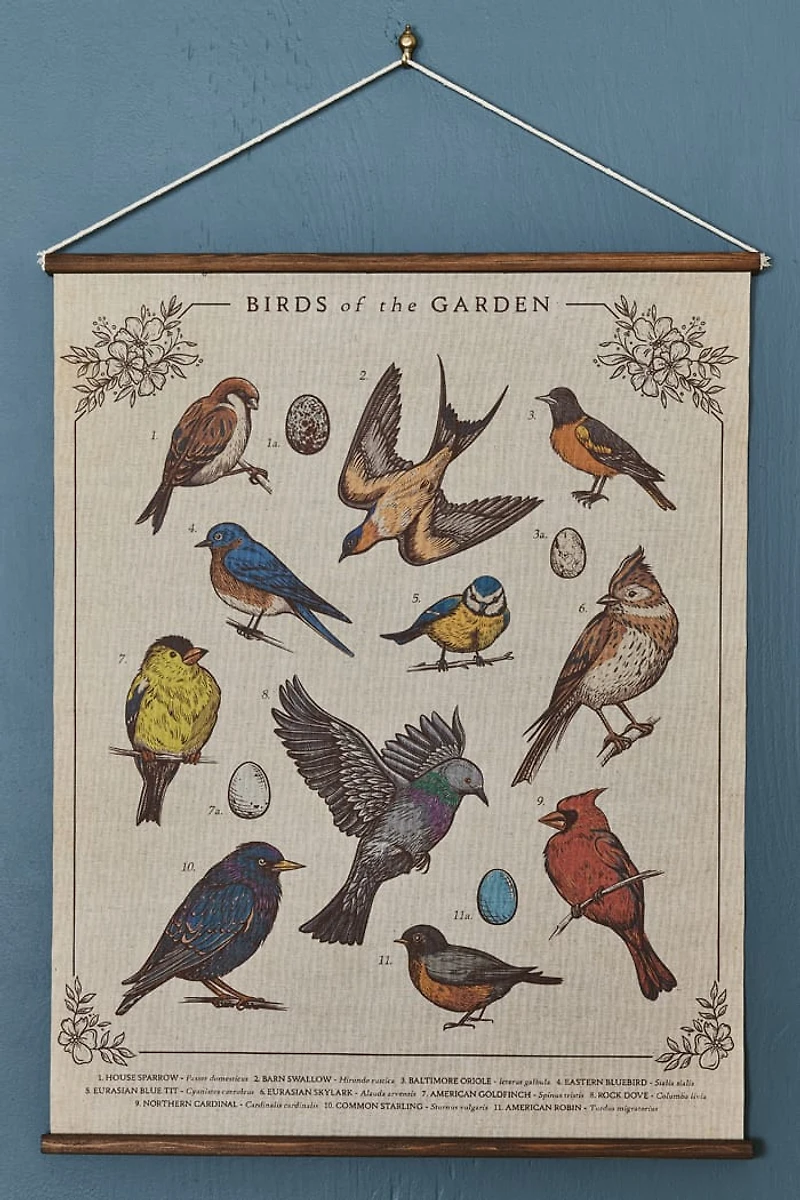 Buy EBX Birds of the Garden Wall Art Banner Online at Earthbound Trading