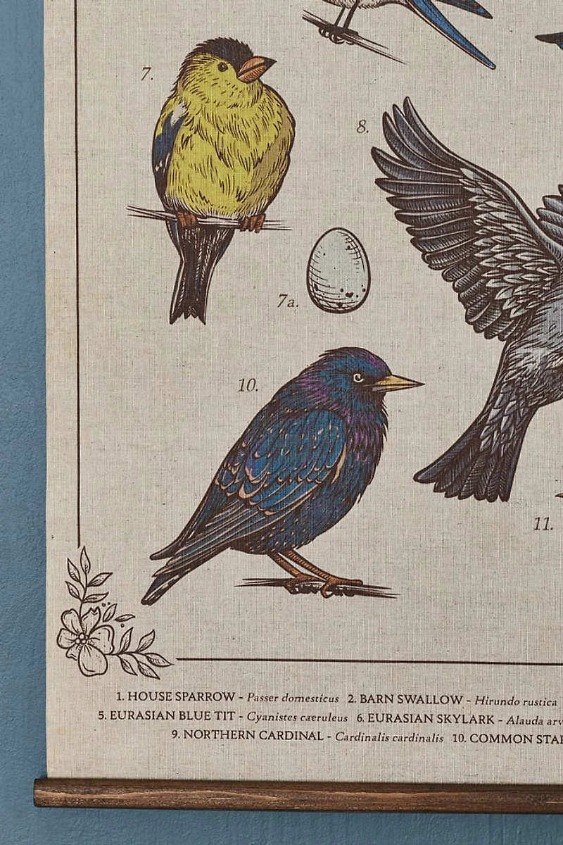 Buy EBX Birds of the Garden Wall Art Banner Online at Earthbound Trading