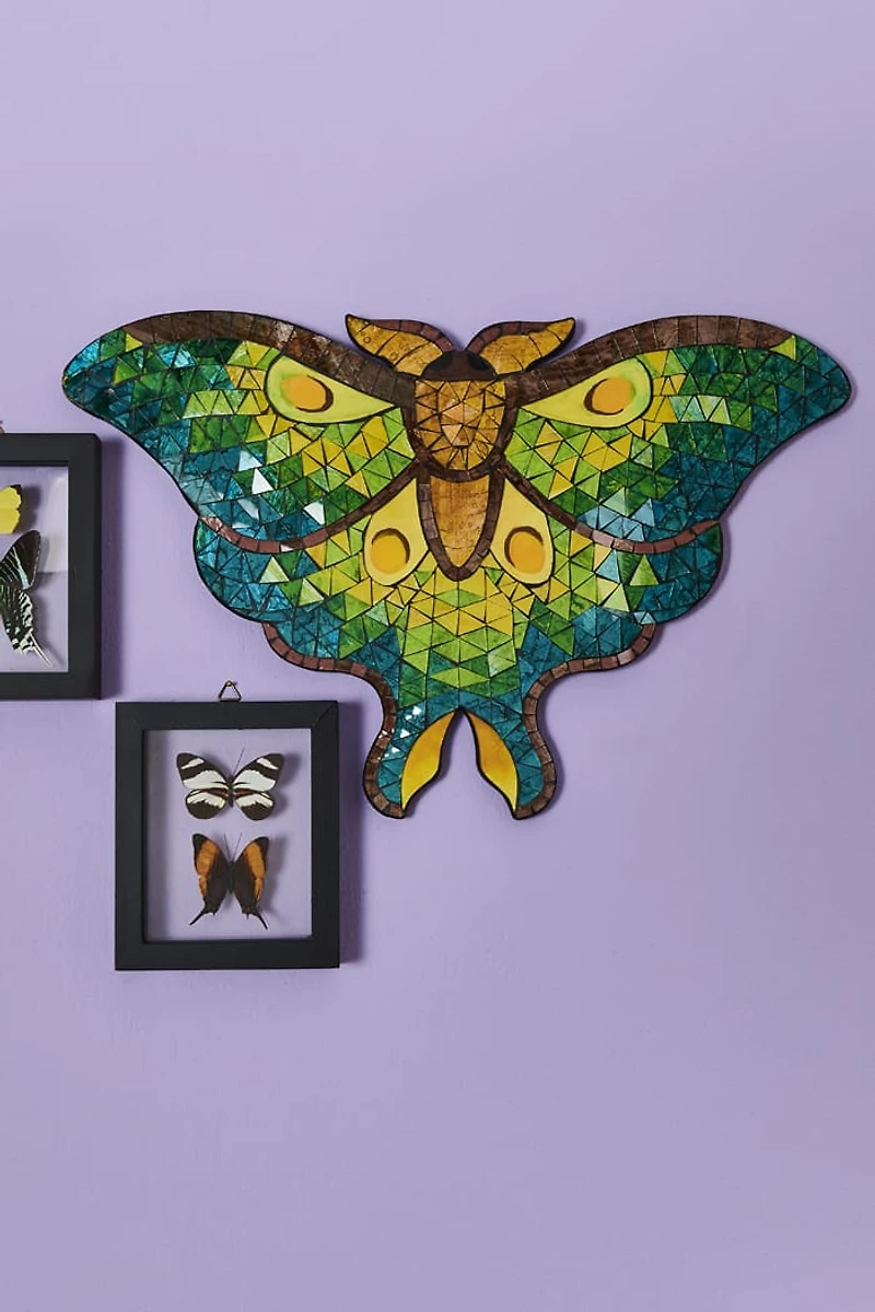 Buy Green Moth Mosaic Online at Earthbound Trading