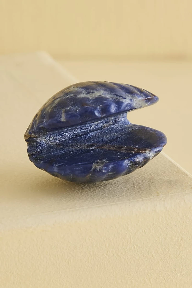 Buy Sodalite Shell Figurine Online at Earthbound Trading