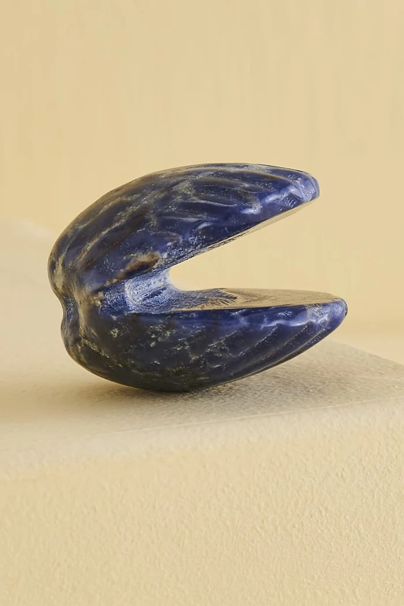 Buy Sodalite Shell Figurine Online at Earthbound Trading