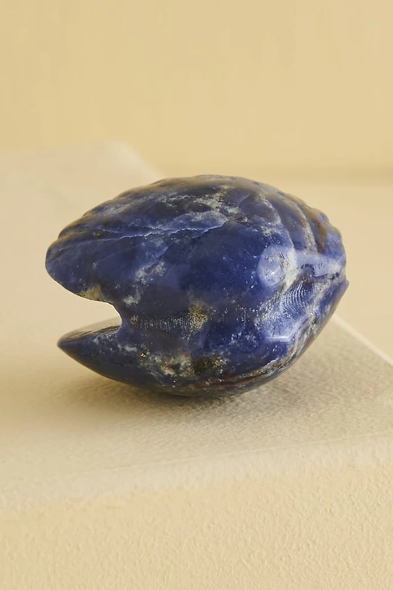 Buy Sodalite Shell Figurine Online at Earthbound Trading