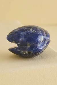 Buy Sodalite Shell Figurine Online at Earthbound Trading