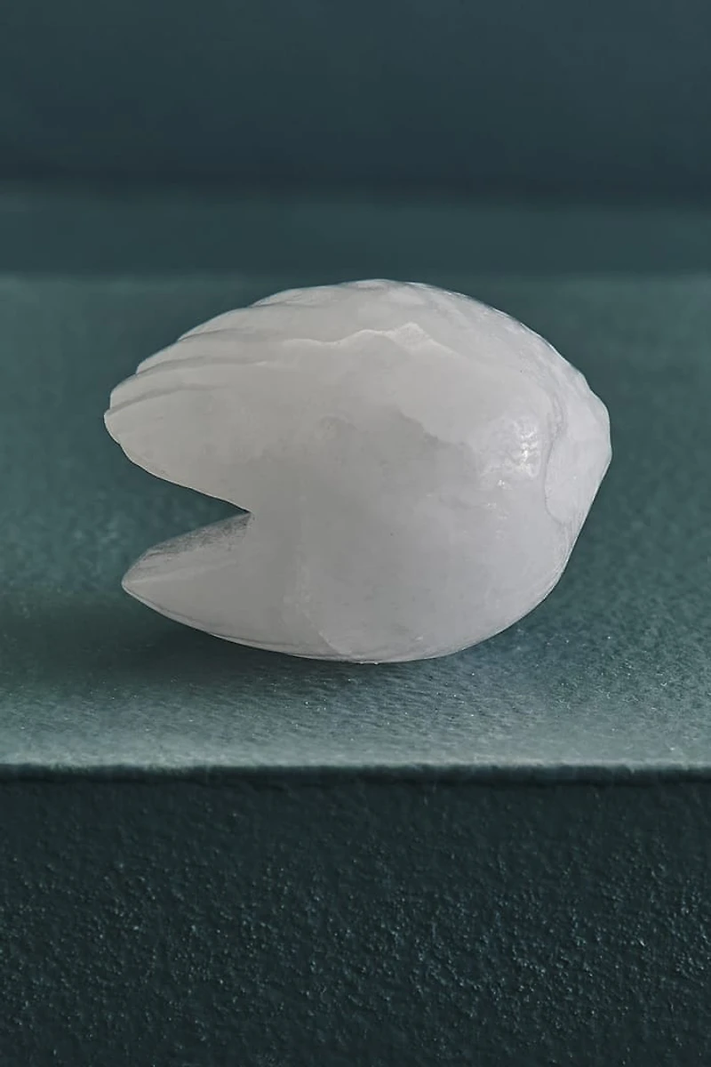 Buy Clear Quartz Shell Figurine Online at Earthbound Trading