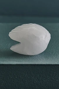 Buy Clear Quartz Shell Figurine Online at Earthbound Trading