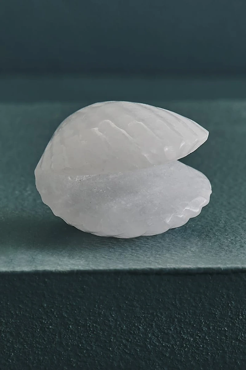 Buy Clear Quartz Shell Figurine Online at Earthbound Trading