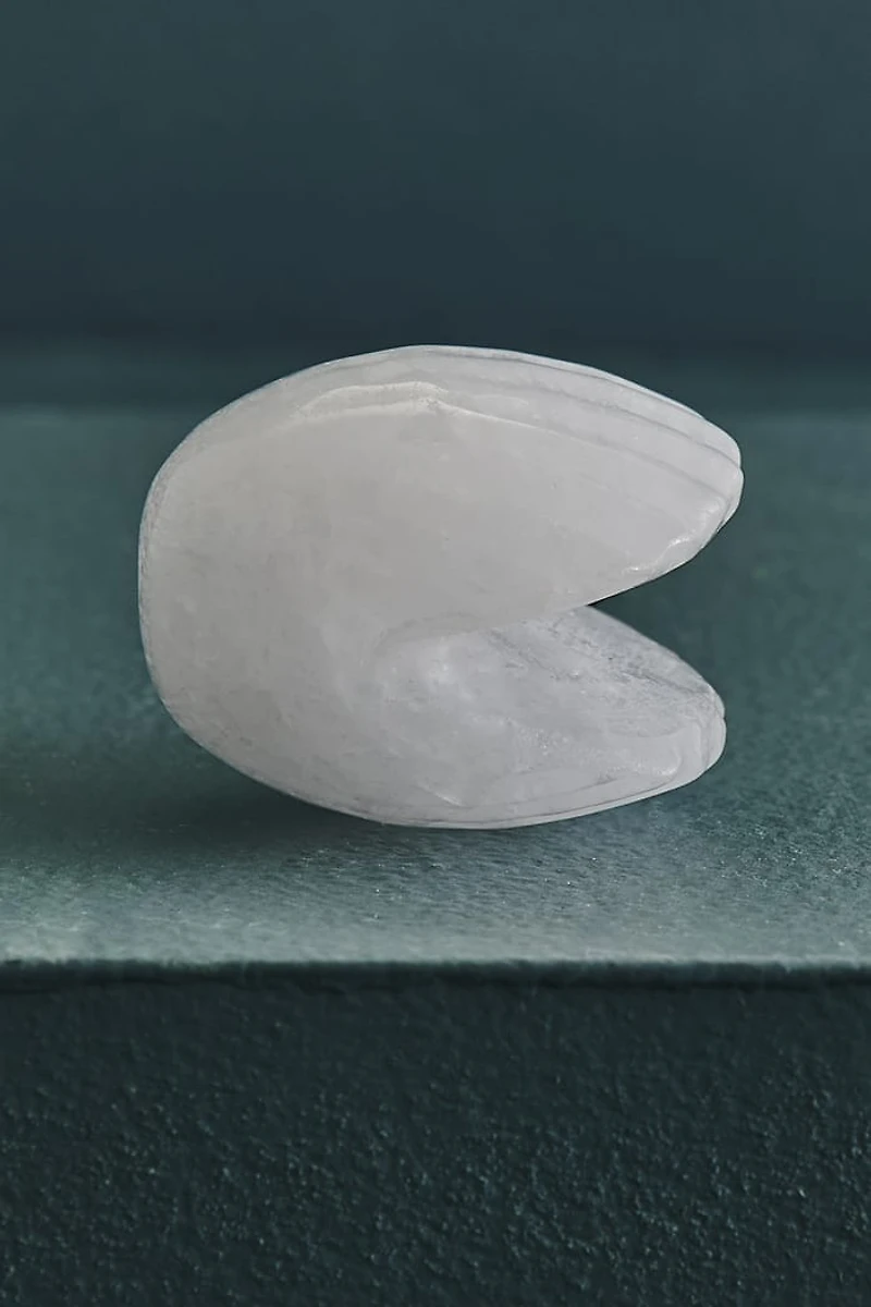 Buy Clear Quartz Shell Figurine Online at Earthbound Trading