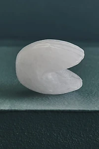Buy Clear Quartz Shell Figurine Online at Earthbound Trading