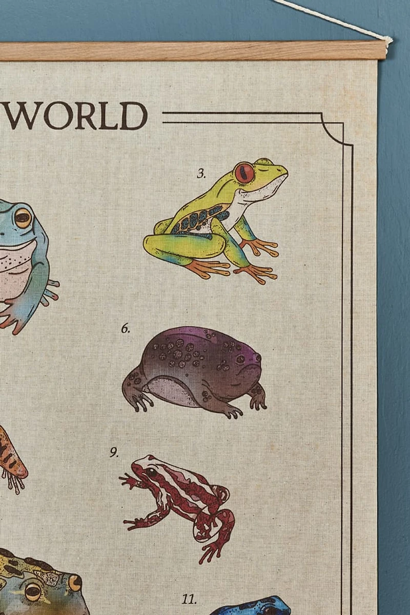 Buy EBX Frogs of the World Wall Art Banner Online at Earthbound Trading