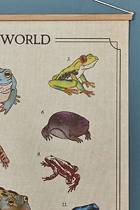 Buy EBX Frogs of the World Wall Art Banner Online at Earthbound Trading