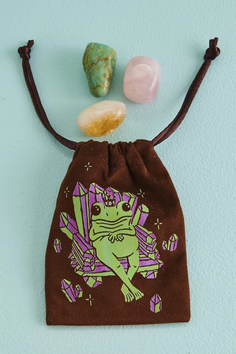 Buy EBX Crystal Frog Velvet Pouch Online at Earthbound Trading