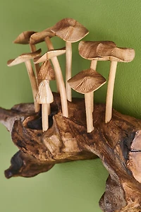 Buy Wood Mushroom Log Wall Hanging Online at Earthbound Trading