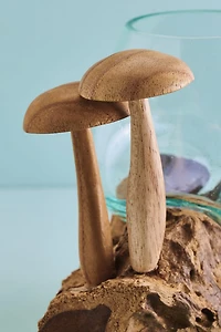 Buy Mushroom Duo Rootwood Vase Online at Earthbound Trading