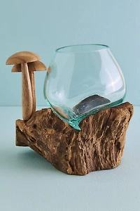 Buy Mushroom Duo Rootwood Vase Online at Earthbound Trading